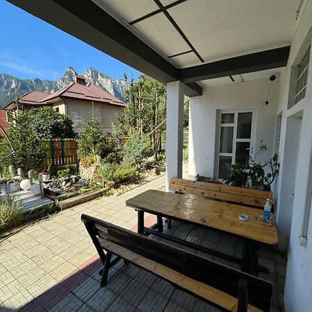 Casa David Hotel Busteni Ngoại thất bức ảnh