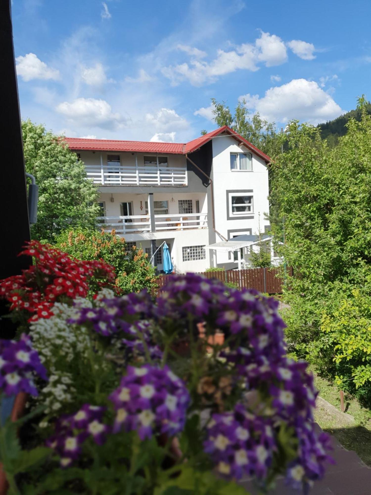 Casa David Hotel Busteni Ngoại thất bức ảnh