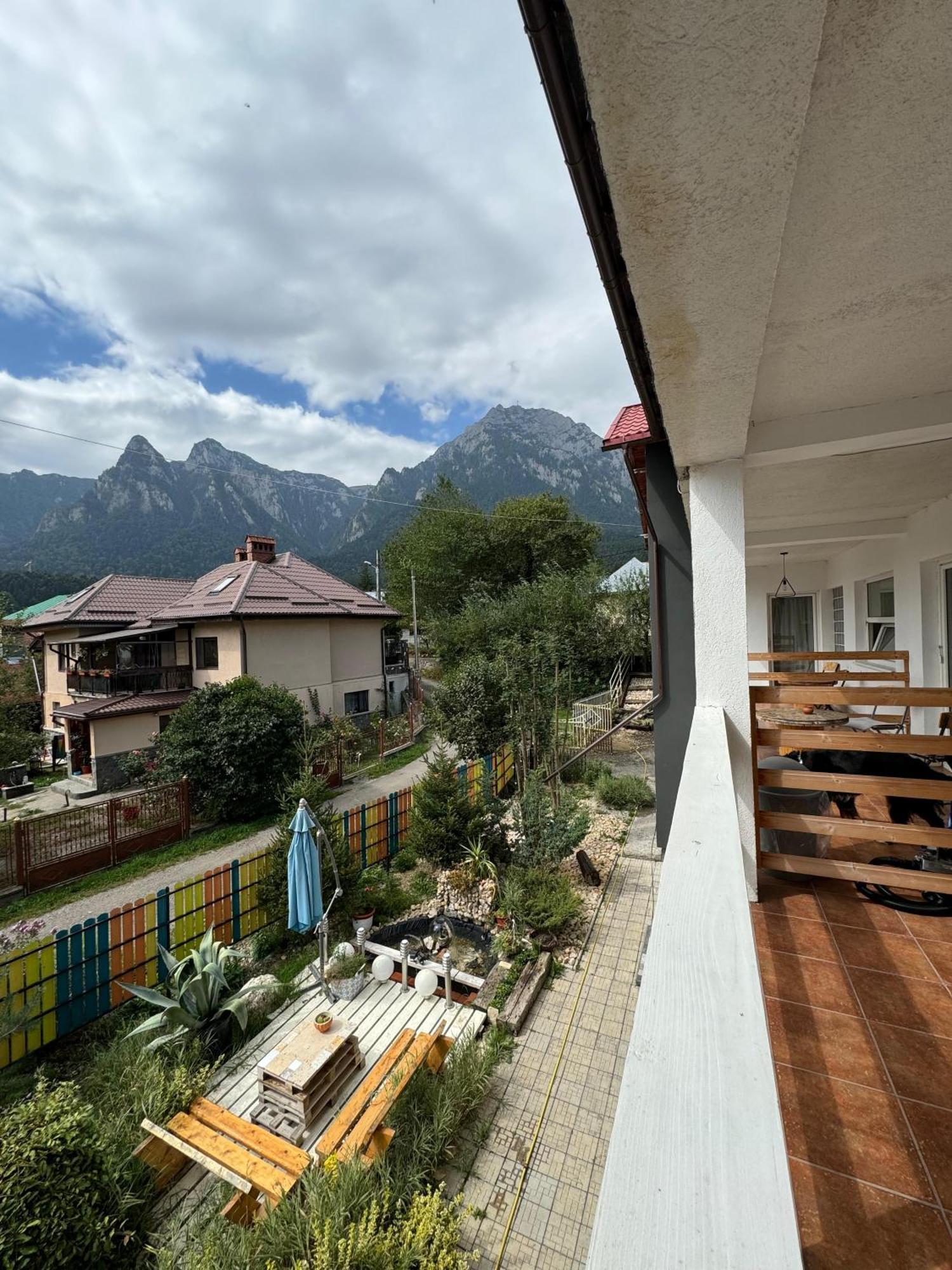 Casa David Hotel Busteni Ngoại thất bức ảnh